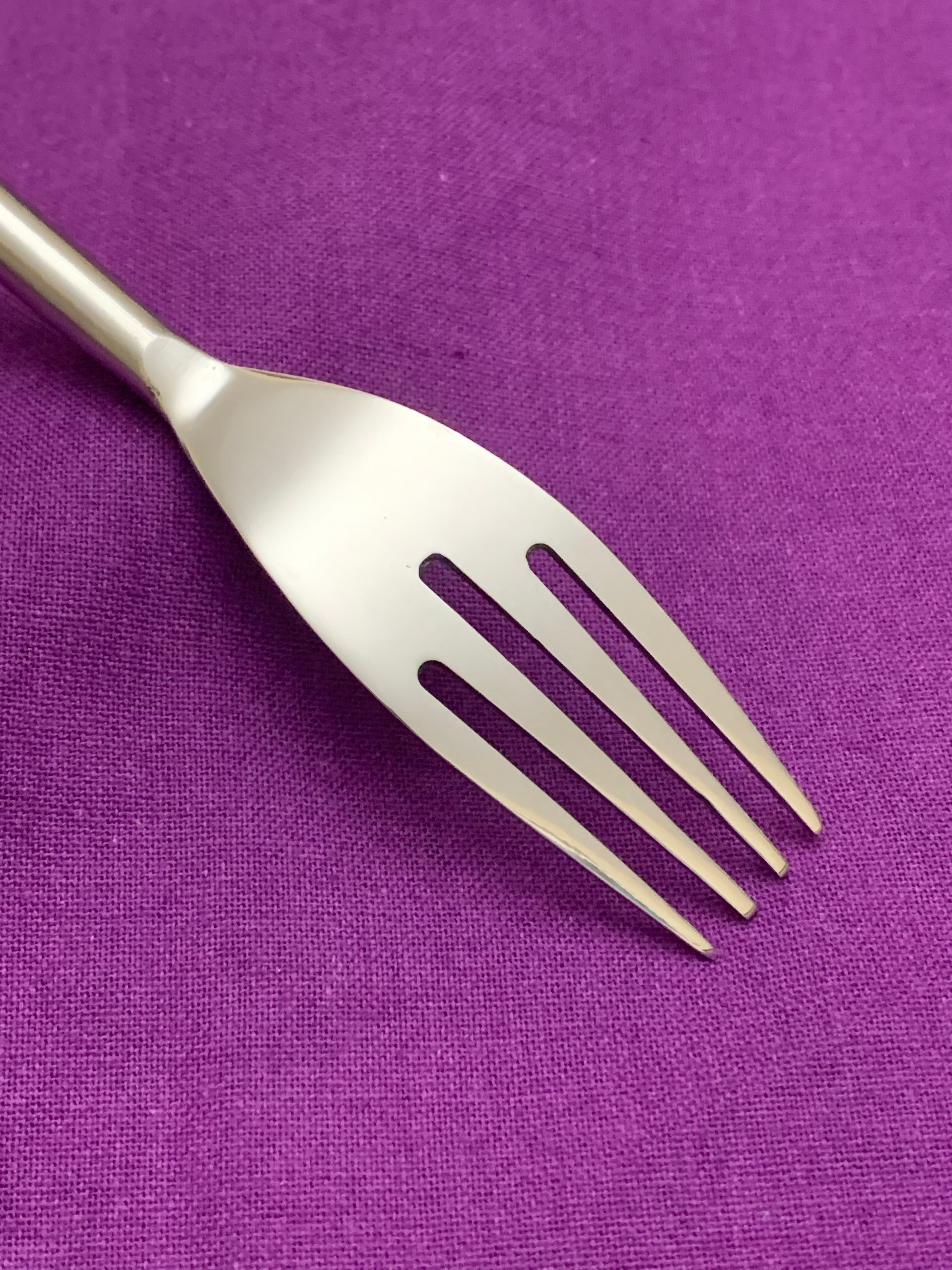 Vibhsa Modern Stainless Steel Flatware Set of 20 Pieces