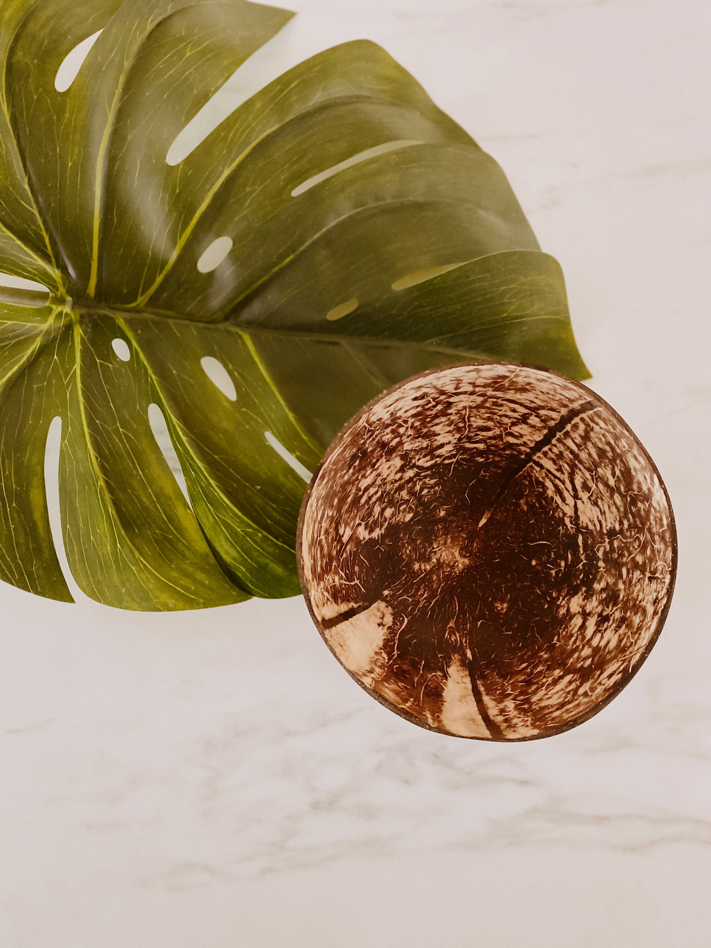 Coconut Bowl Set – Natural Eco-Friendly Serving Bowls