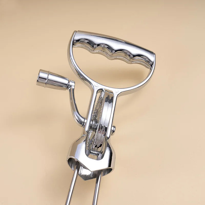 DecorBites Balloon Whisk – Egg Beater for Baking & Mixing