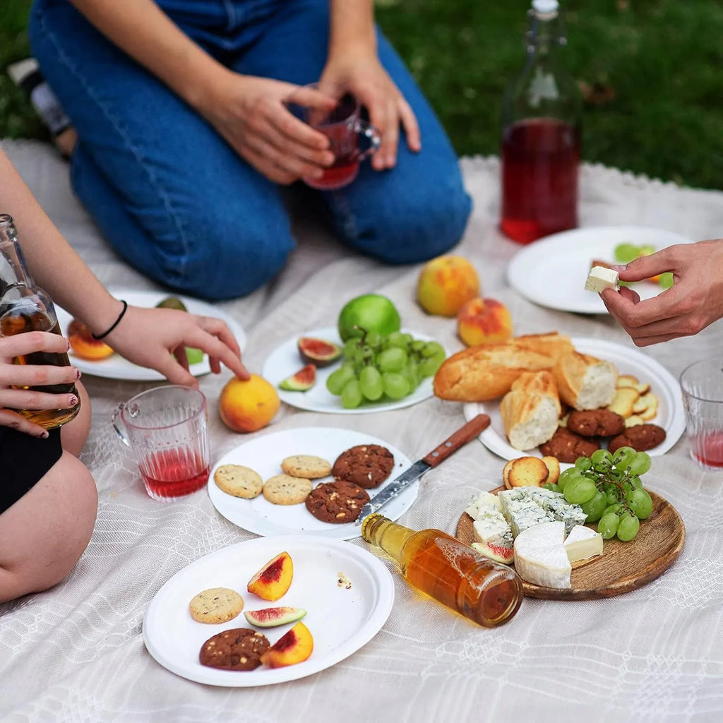 9 Inch Disposable Plates, for Parties, BBQ, Kids Crafts. 23x23cm, Sturdy, Bulk 50 Pcs