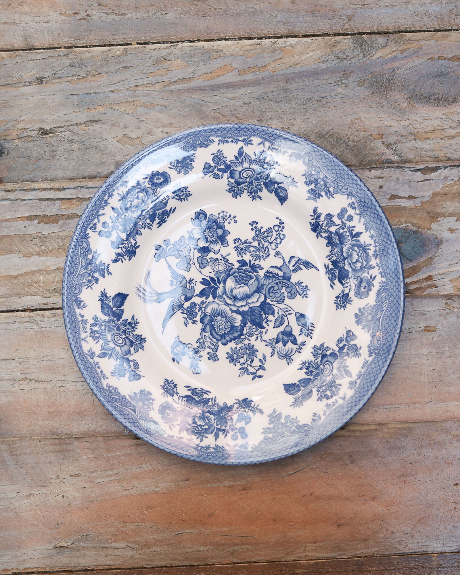 dinner plate set